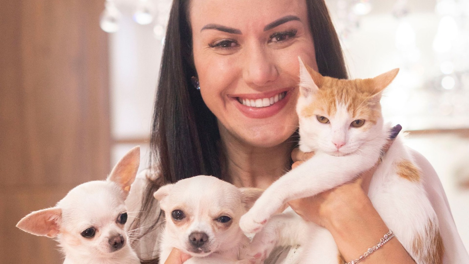 Pets podem ganhar rede gratuita de atendimento veterinário