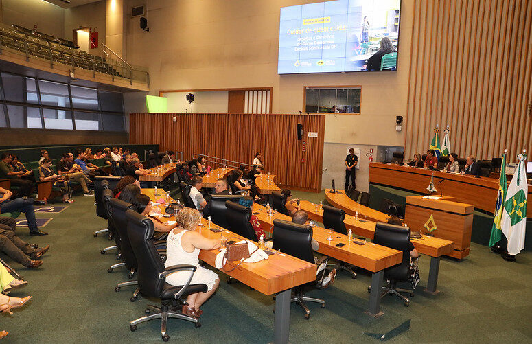 Audiência pública com gestores de escolas públicas do DF discute desafios e adoecimento dos profissionais 