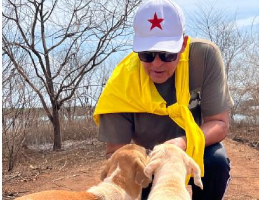 Deputado Ricardo Vale propõe desconto no IPTU para quem adotar animais abandonados no DF