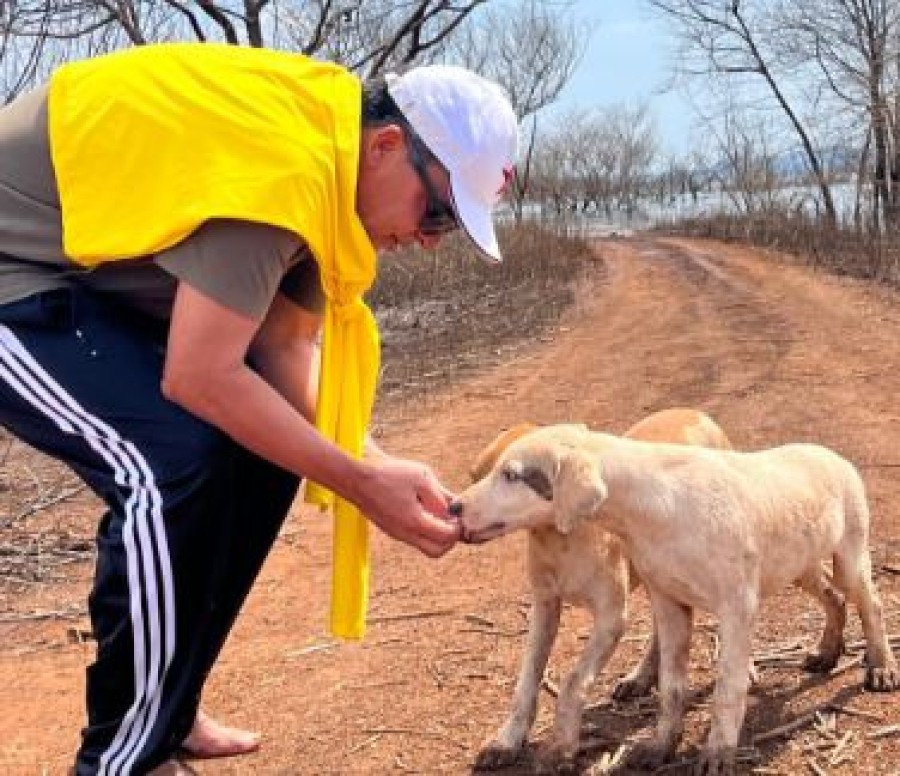 Deputado Ricardo Vale promove debate na CLDF por políticas públicas de proteção animal